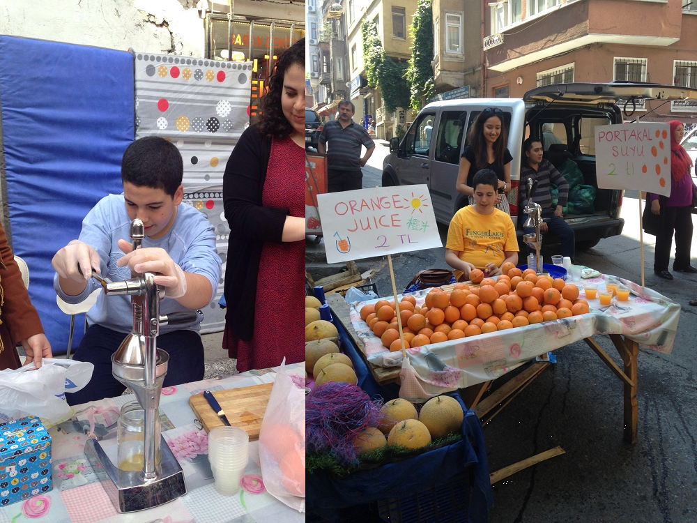 Mesleki Eğitim ve İstihdam Programı (MEİP)